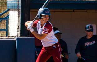 Molly Grumbo’s Blog – Entry #3