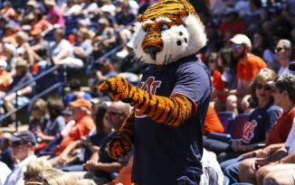 Top 10: Most Popular Division I Team Nicknames
